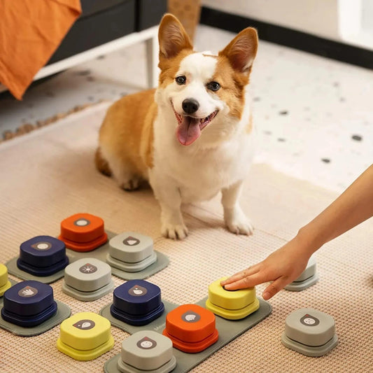 Dog Button Record